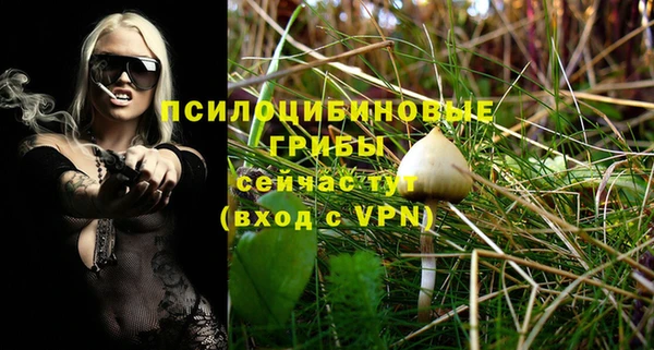 молекула духа Белоозёрский