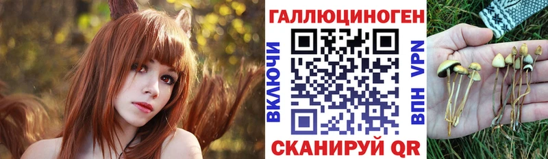 Псилоцибиновые грибы ЛСД  кракен как войти  Новый Уренгой 