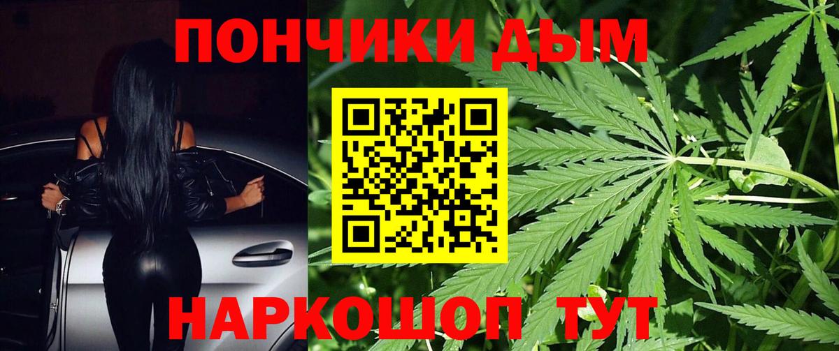 Бошки Шишки White Widow  Канабис план  Вход с VPN  Новый Уренгой 